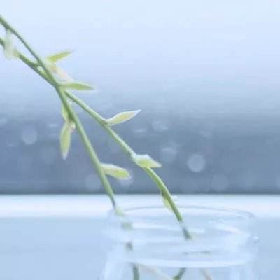 永恒黑暗的钟塔中文版(暂未上线)v1.0 安卓版